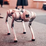 Revamp Website Ezra Robotics